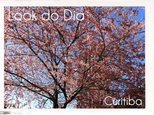 look-do-dia