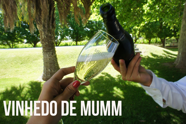 trip-mumm-san-rafael